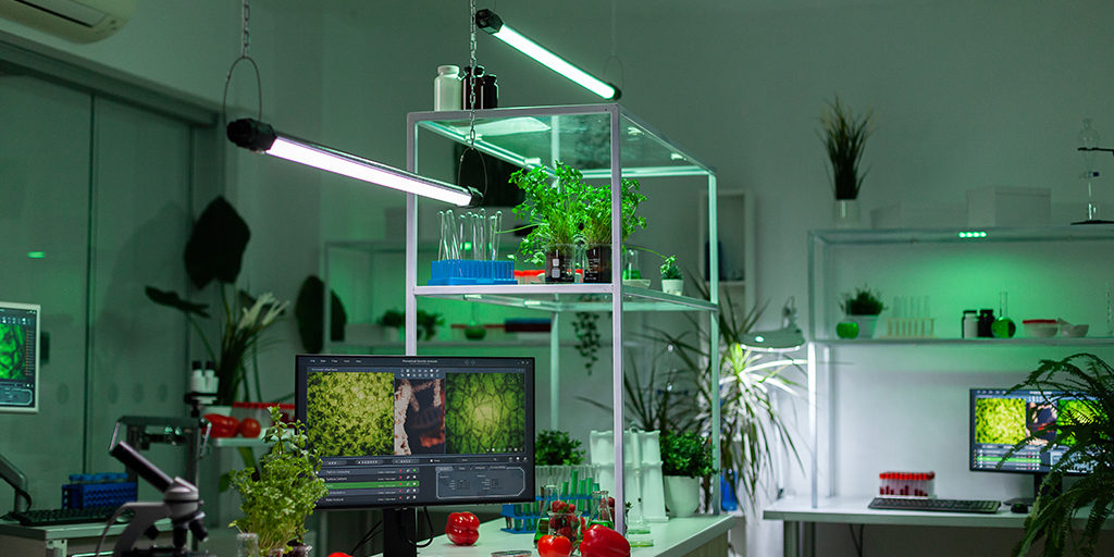 افتتاح مختبر ساف