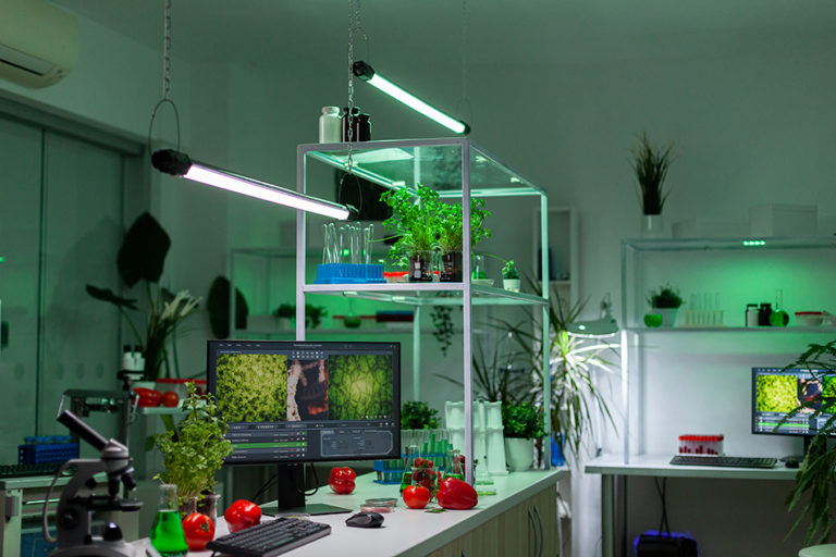 افتتاح مختبر ساف